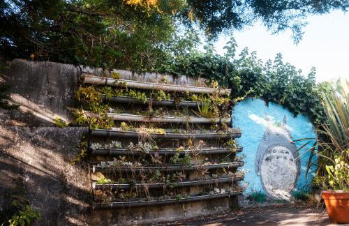 Quinta das Almas - Photo 3