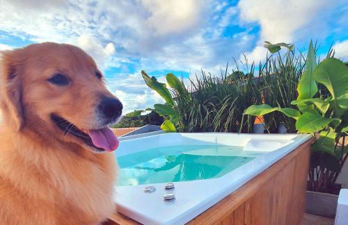 Piscina Aquecida, Jacuzzi, internet veloz, no centro de Serra Grande - Apt Laranja - Vila Pitangueira - Photo 1