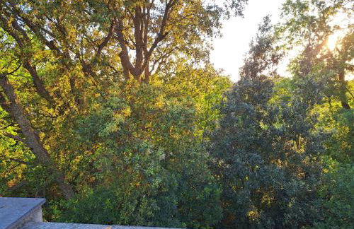 casa con bosco e vista mare - Foto 39