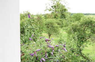 Maison Arbane, où les souvenirs se créent - Foto 63