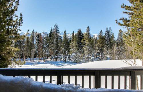 Mammoth Green 110 - Photo 18