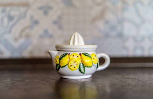 Lemon Factor Sorrento - Photo 54