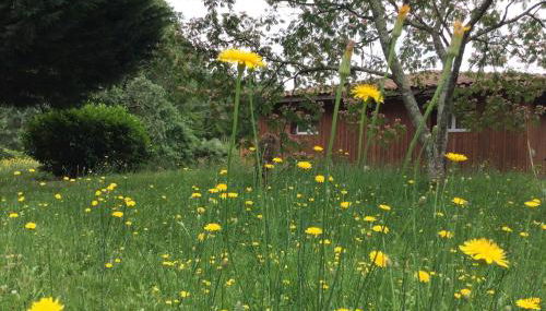 Gîte des Graves de Lilou - Foto 5