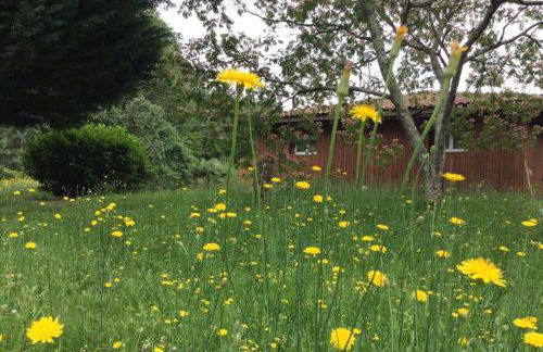 Gîte des Graves de Lilou - Foto 4