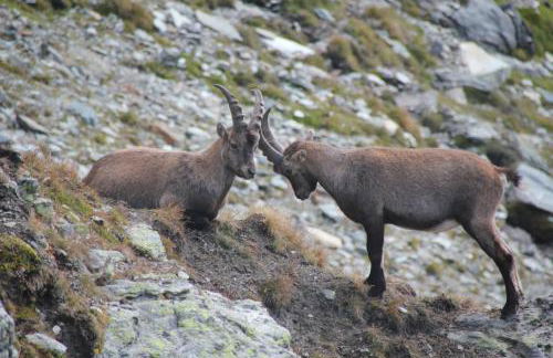 Maison Fosson - Foto 77