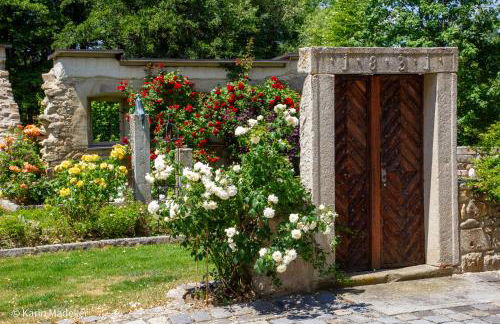 Design Ferienwohnung mit Bauerngarten - Foto 41