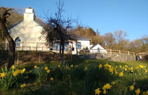 Penwaun Newport, Pembrokeshire - Foto 13