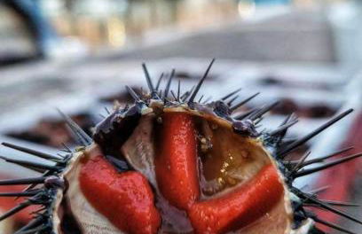 Vacation House a Mola di Bari - Foto 62