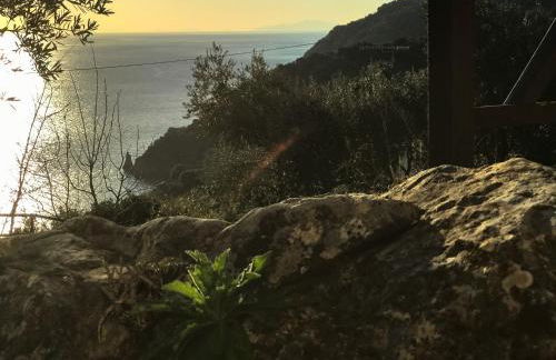 House of the Rising Sun - Foto 24