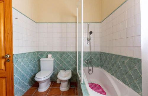 Monte Velho - Foto 20