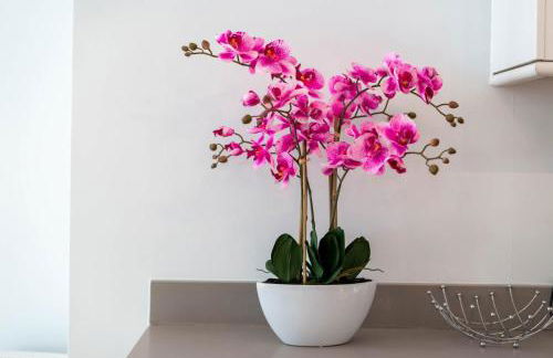 GuestReady - 2BR Maisonette in Covent Garden - Foto 17