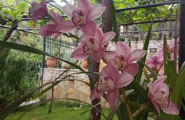 HoneyHouse - Photo 1