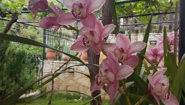 HoneyHouse - Photo 1