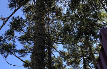 Recanto das Gralhas - Foto 11