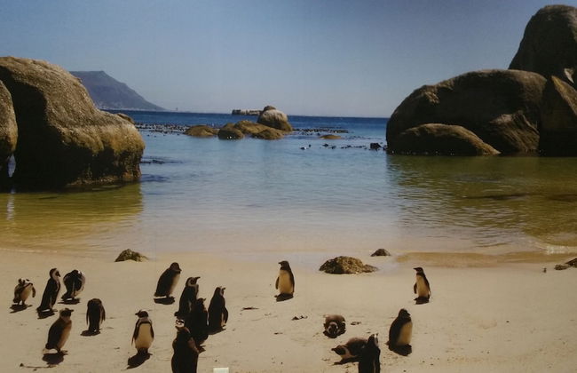 Seagetaway - Photo 32