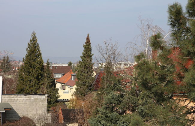 Ferienhaus Landeskrone - Foto 18