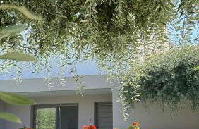 Thassos OLIVIA RESORT - Foto 67