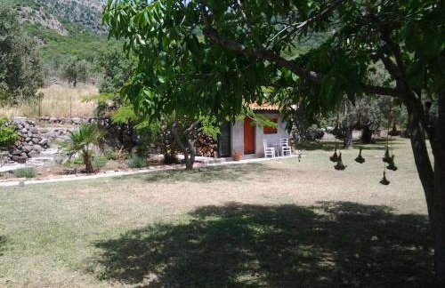 House on Lesbos, Greece - Foto 14