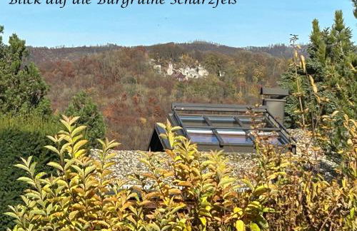 Harzer Sonnenalm - Foto 19