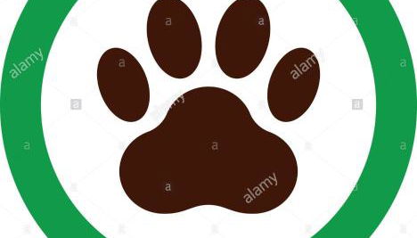 Masia Can Constans - Foto 5