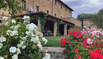 Podere Montale Winery - Foto 5