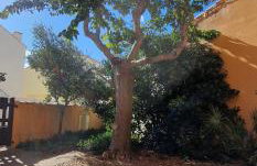 Frisch renovierte klimatisierte Ferienwohnung - nur 100 m vom Strand entfernt - Foto 18