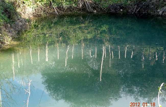 Agriturismo le Cammarose - Photo 27