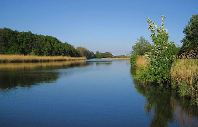 Ferienhaus in Hechthausen mit Terrasse - Foto 49
