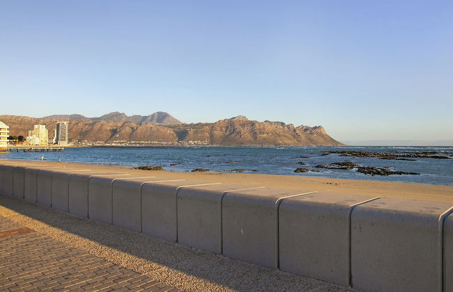 Jacquelena Hof 9 - Photo 29