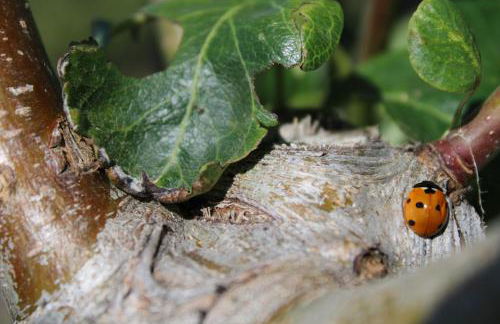 Agriturismo Masseria Cannella - Foto 56