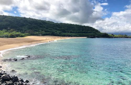 Beach Studio by Shark's Cove - Foto 19