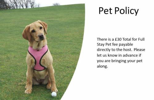 1 Bedroom Pet Friendly Apt Wd Free Wifi, Parking, Netflix & Pool Table. Sleeps 3 - Photo 52