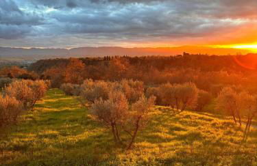 Eri tra gli Ulivi - Photo 9