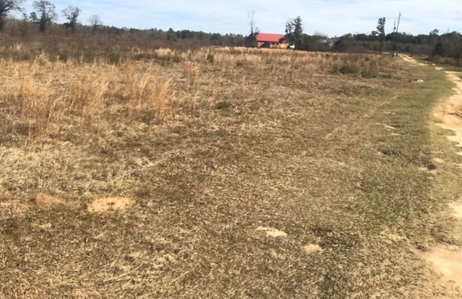 3 Rivers House - Foto 17