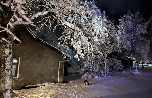 Kuća za odmor PEPA - Foto 27