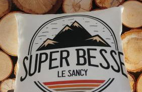 La forêt des Marmottes - Photo 3