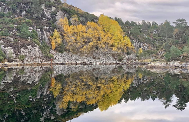 8 Person Holiday Home in Urangsvag - Foto 39