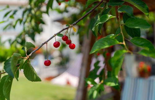 Villa Fiore - Foto 22