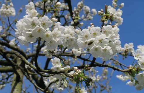 Haus am Blauenbach - Foto 34