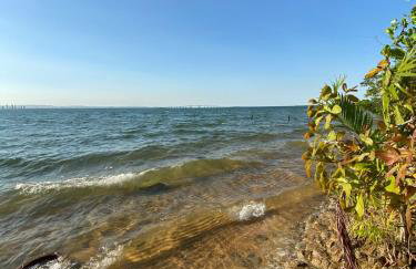 Chácara da Ilha - Photo 10