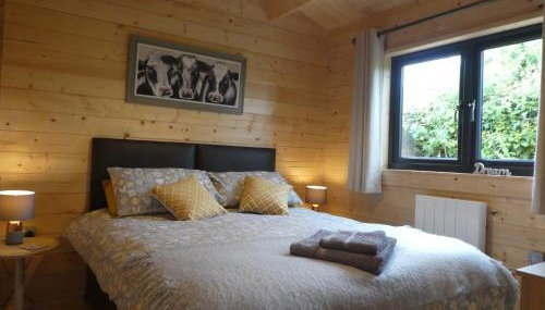 Pound Farm Holidays - Orchard Lodge - Foto 4