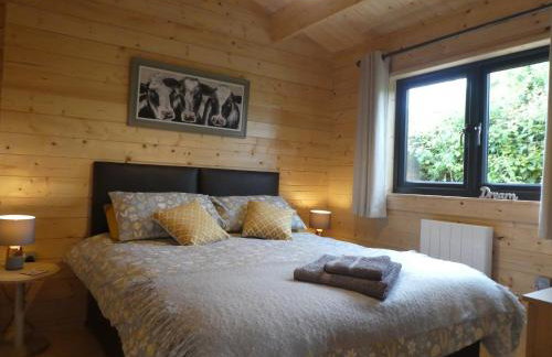 Pound Farm Holidays - Orchard Lodge - Photo 4