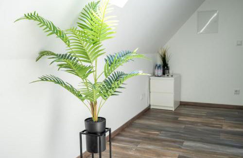 XXL Superior Apartment 1 - 1 bis 10 Personen - Foto 13