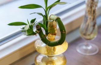 Casa Alderotti - Photo 24