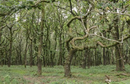 Flora's Barn - Foto 43