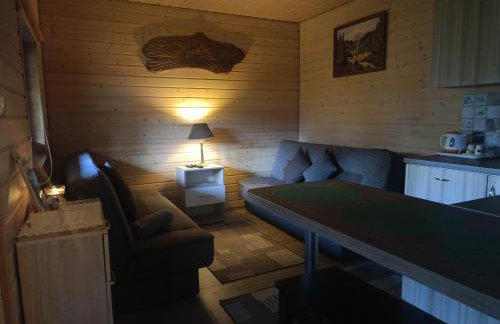 Domki nad Strumykiem-Solina - Foto 35