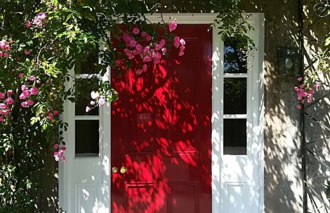 Ballylagan Organic Farm - Foto 32