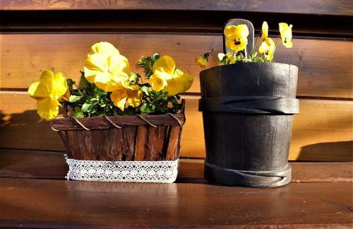 Sumówko Leśne Siedlisko - Foto 6