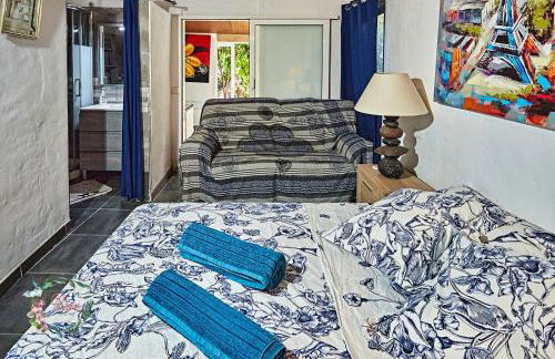 Finca OASIS Fataga - Foto 44