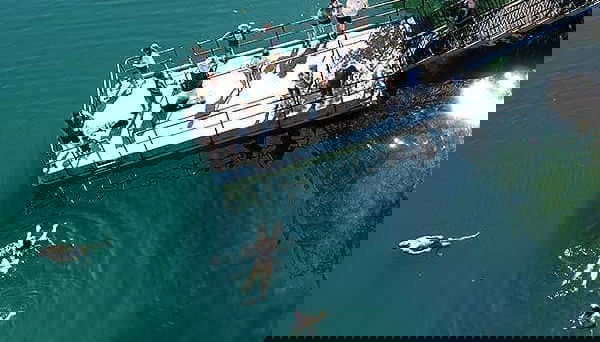 Nadando en el lago Eacham